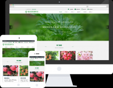 【崂峪苔草|丹麦草|月季网站建设模板】网站优化