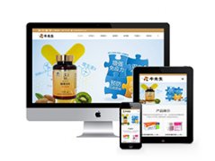 工业机械设备维修_网站模板_seo网站优化_网站建设案例