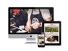 光学仪器维修 _网站模板_seo网站优化_网站建设案例