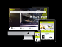 红枣_网站模板_seo网站优化_网站建设案例