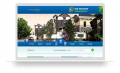 荷兰网_网站模板_seo网站优化_网站建设案例
