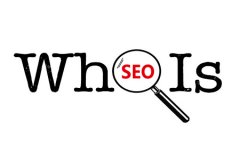 《SEO教程》域名历史，对SEO有影响吗？