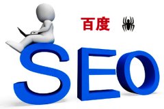 《SEO教程》百度蜘蛛，搜索引擎的工作原理!