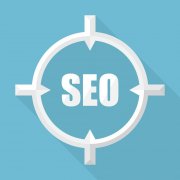 《SEO优化》谈论关于搜索引擎优化的发展问题