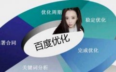 《SEO优化技术》网站的关键词排名怎样做更合理