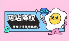 网站降权哪些事 怎么看，如何避免，怎么解决