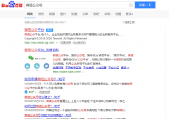 关键词《微信公众号》seo网站优化百度快照排名案例