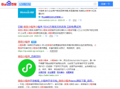 关键词《微信小程序》seo网站优化百度快照排名案例