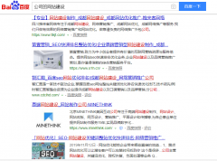 关键词《公司的网站建设》seo网站优化百度快照排名案例