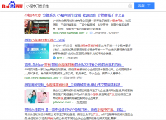 关键词《小程序开发价格》seo网站优化百度快照排名案例