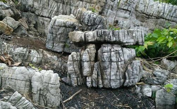 龟纹石该如何辨别真假以及产品价格