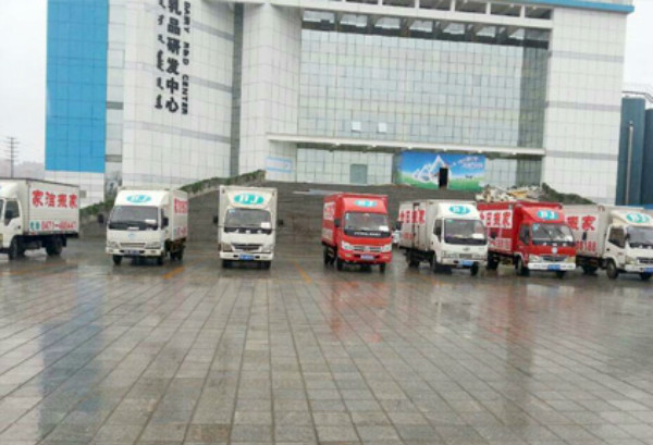搬家后狗狗发抖该怎么办?