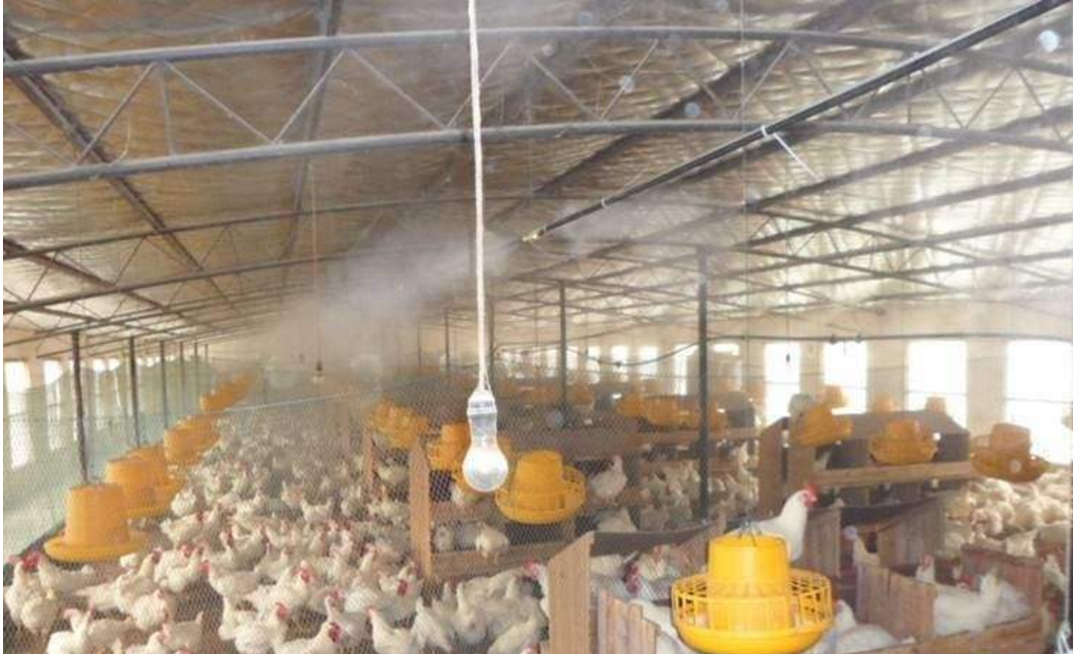 【猪场用自动喷雾消毒机】养殖场消毒机多少钱一个?