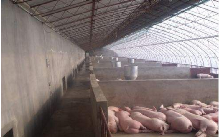 【喷雾消毒设备】-猪舍喷雾消毒设备多少钱?