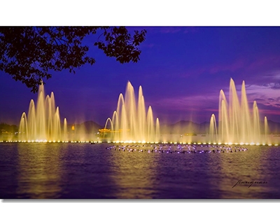 <a href='https://www.laiyongfei.com/penquan/' target='_blank'><u>音乐喷泉</u></a>公司