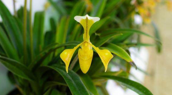 庭院设计 庭院设计