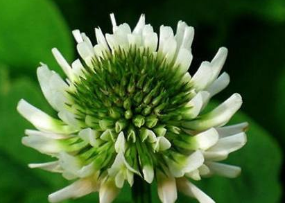 庭院设计 庭院设计