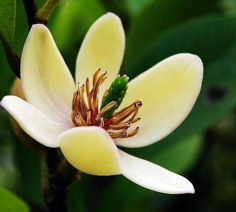 庭院设计 庭院设计