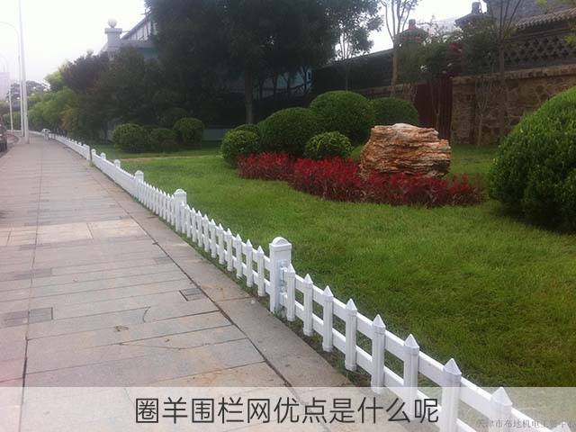 圈羊围栏网优点是什么呢?