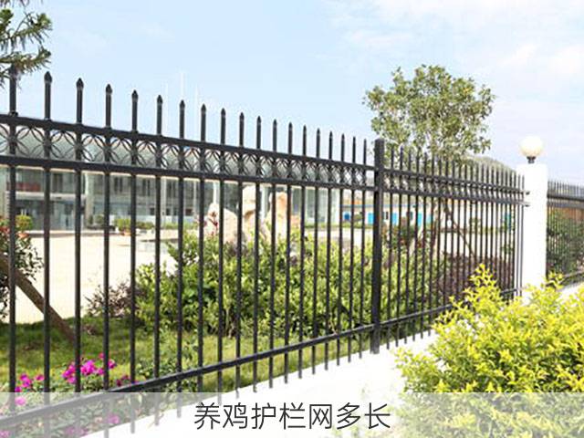 养鸡护栏网多长