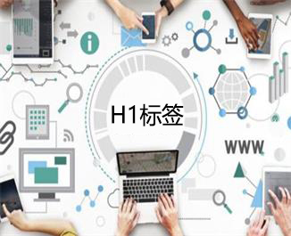 H1标签