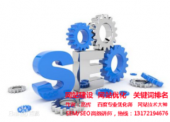怎么样优化网站可以让新站快速进入首页