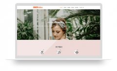 电蒸锅_网站模板_seo网站优化_网站建设案例