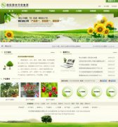 花卉租赁_网站模板_seo网站优化_网站建设案例