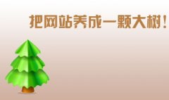 石家庄做网站优化必备技能