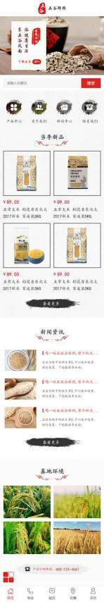 网站模板