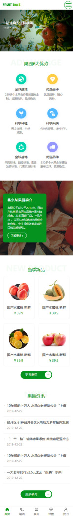 网站模板