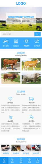 网站模板