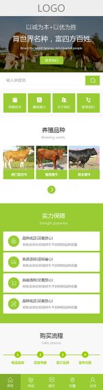 网站模板