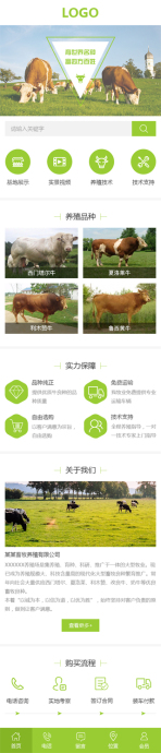 网站模板