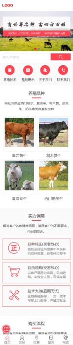 网站模板