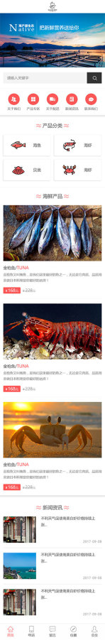 网站模板