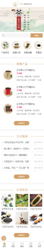网站模板