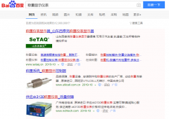 重显示仪表网络推广_网站推广_百度推广_360推广-网络推广公司