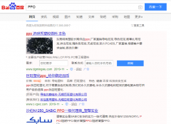 聚苯醚（PPO）网络推广_网站推广_百度推广_360推广-网站建设公司