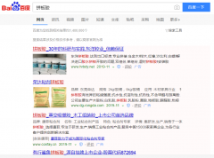 拼板胶网络推广_网站推广_百度推广_360推广-网站建设公司