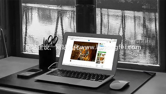 <a href='https://www.laiyongfei.com' target='_blank'><u>网站建设</u></a>