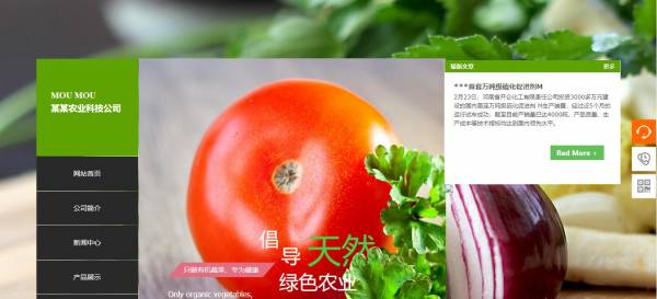 <a href='https://www.laiyongfei.com' target='_blank'><u>网站建设</u></a>