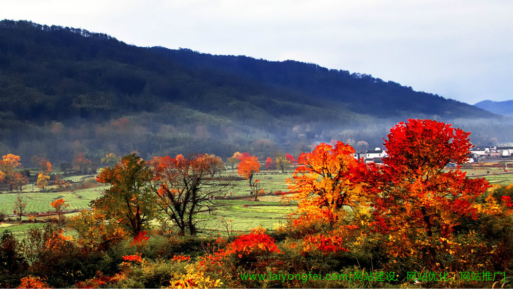 广东网站建设公司