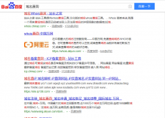 关键词《域名查询》seo网站优化百度快照排名案例