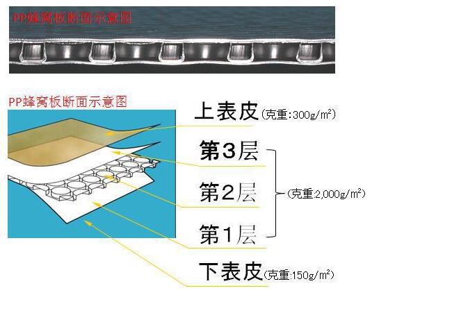 汽车pp蜂窝板4.jpg