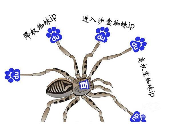 百度蜘蛛 百度蜘蛛