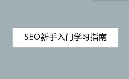 SEO新手入门指南 SEO新手入门指南