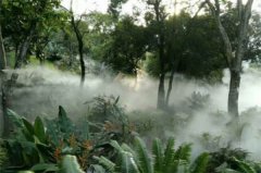 湖北宜昌市博览园造雾园林景观造雾 人造雾系统 雾森系统 冷雾设备 喷雾系统
