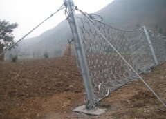 选购「被动边坡防护网」优势专业分析