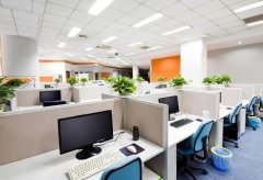 办公室摆放哪些绿植可以提高办公效率